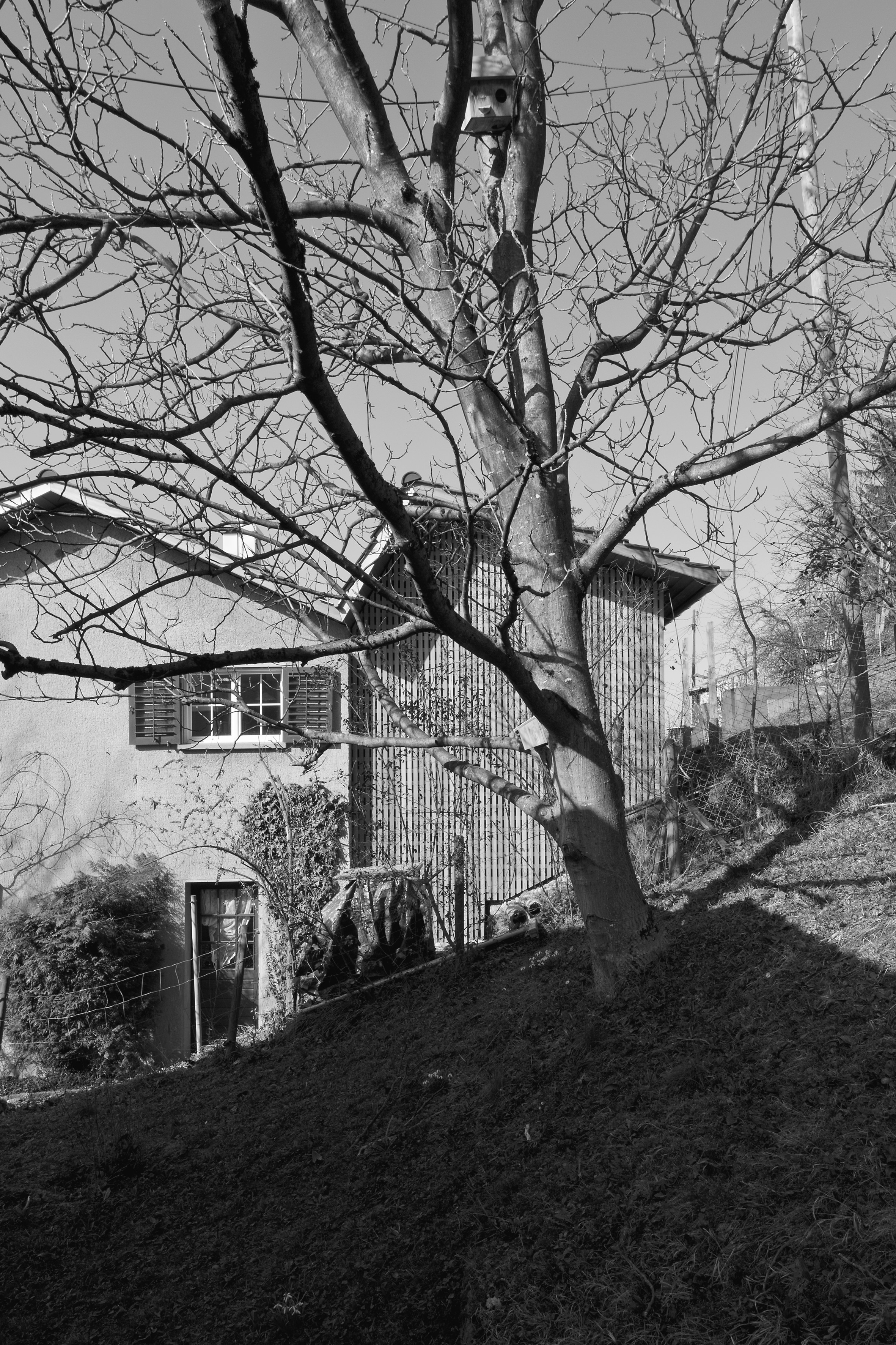 Wohnraumerweiterung Letten Winterthur